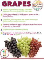 Grapes